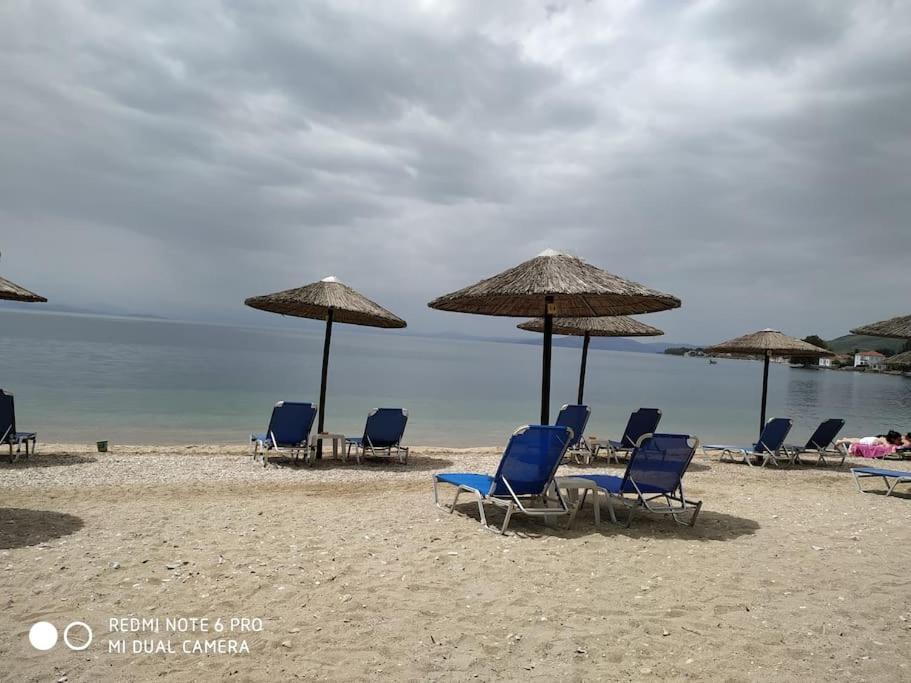 Pelion Mountain & Sea Villa - Private Studio Ano Gatzea エクステリア 写真