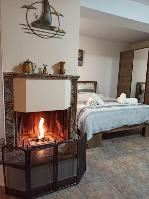 Pelion Mountain & Sea Villa - Private Studio Ano Gatzea エクステリア 写真
