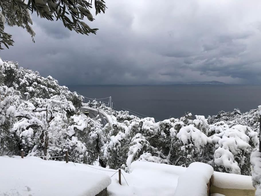 Pelion Mountain & Sea Villa - Private Studio Ano Gatzea エクステリア 写真